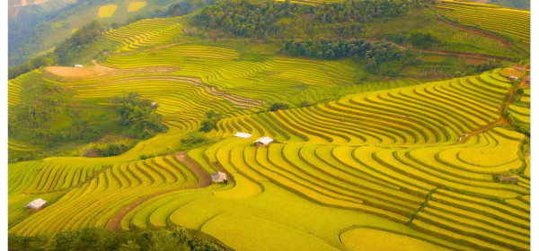 Top 4 Địa Điểm Du Lịch Nổi Tiếng Ở Việt Nam Hấp Dẫn Nhất