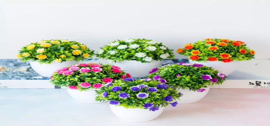 Top Chậu Hoa Để Bàn Làm Việc May Mắn & Năng Lượng Tích Cực