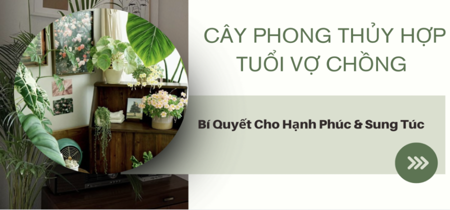 Những Cây Phong Thủy Hợp Tuổi Vợ Chồng Để Giữ Hạnh Phúc