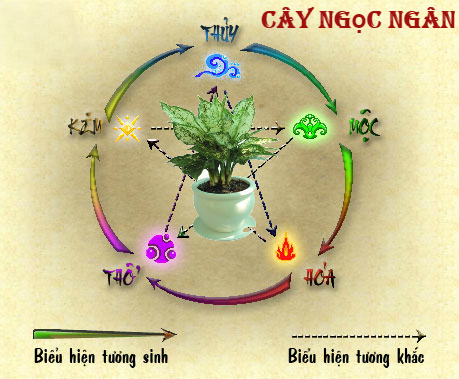 Cây Ngọc Ngân Hợp Tuổi Nào, Mệnh Nào Và Ý Nghĩa Phong Thủy