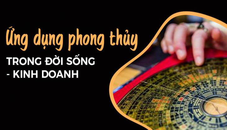 Màu Phong Thuỷ 2004 Trong Kinh Doanh Giúp Thu Hút Tài Lộc