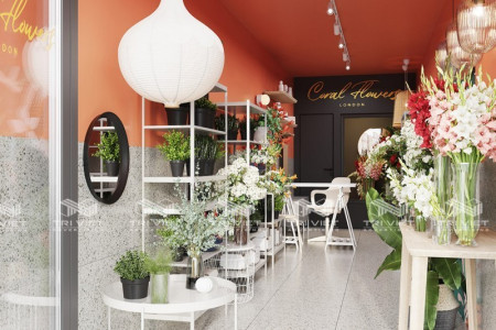 Thi Công Nội Thất Shop Chuyên Nghiệp - Thiết Kế Ấn Tượng