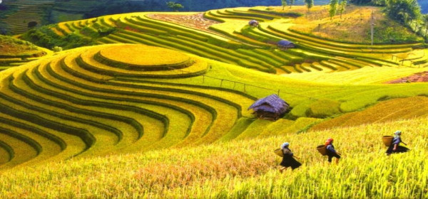 Điểm Du Lịch Hấp Dẫn Nhất Việt Nam Đẹp Thu Hút Du Khách