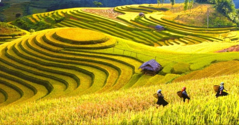 Điểm Du Lịch Hấp Dẫn Nhất Việt Nam Đẹp Thu Hút Du Khách